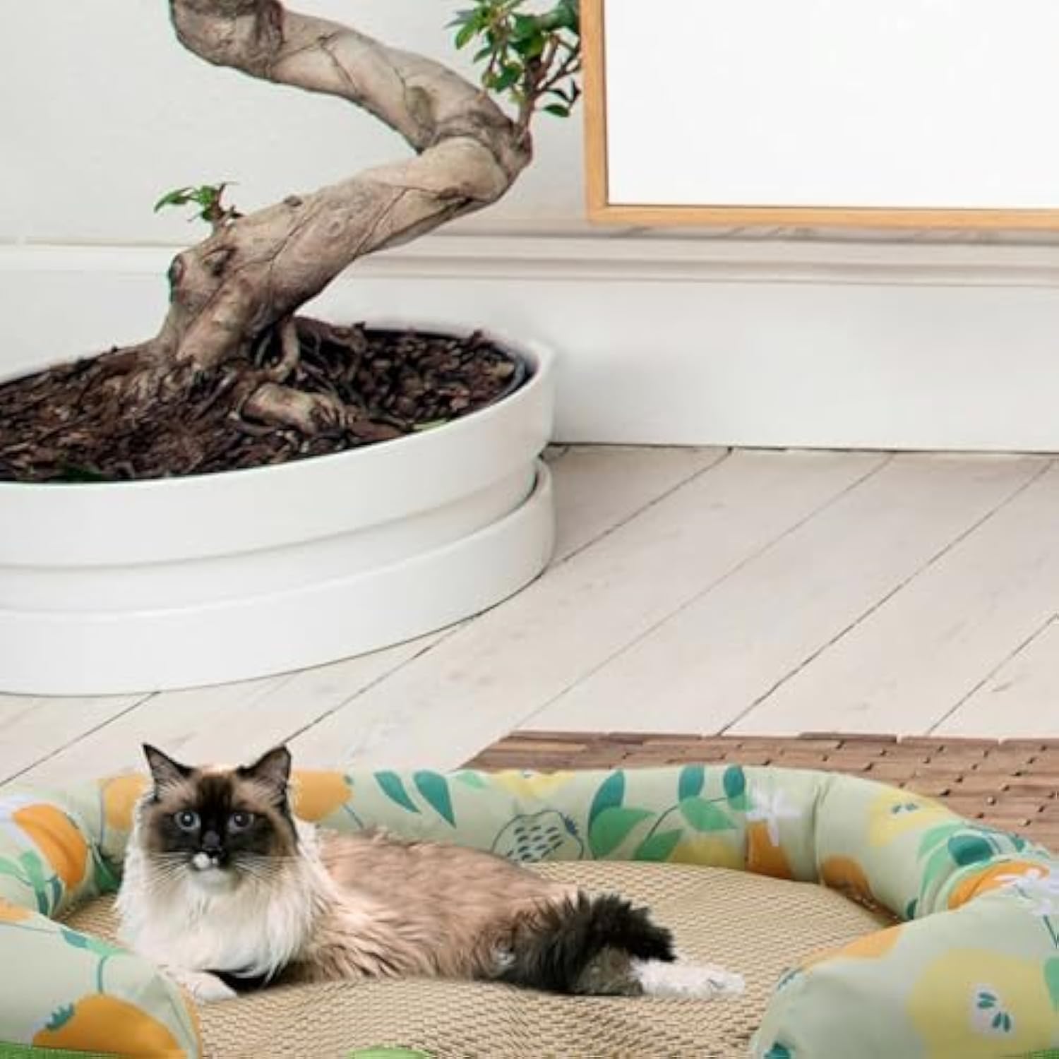 Cooling Pet Mat – Keep Your Dog or Cat Cool