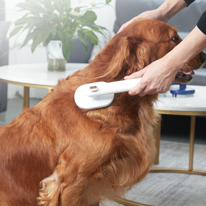 Pet Grooming Brush – Remove Loose Hair, Keep Pets Neat