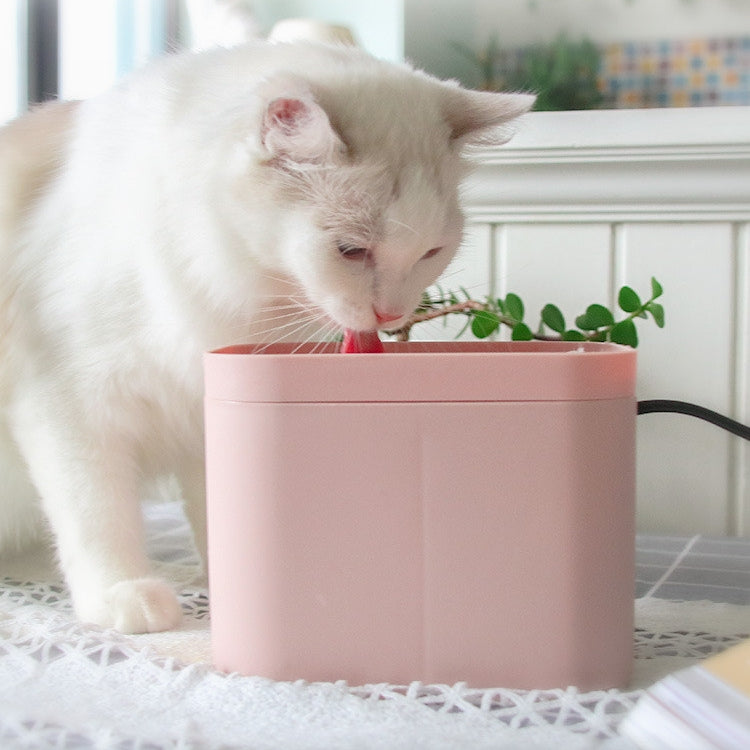 Smart Pet water fountain-clean,fresh water for cats anytime