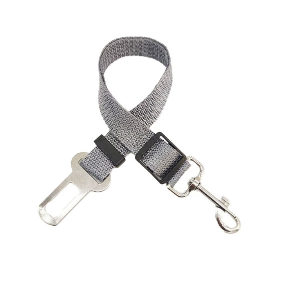 Safe travel dog belt with extendable car rope.