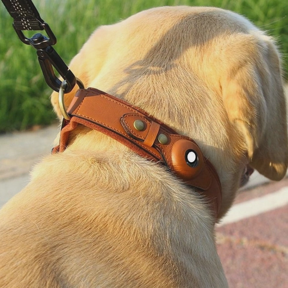 Video for SafePaw Leather GPS Dog Collar