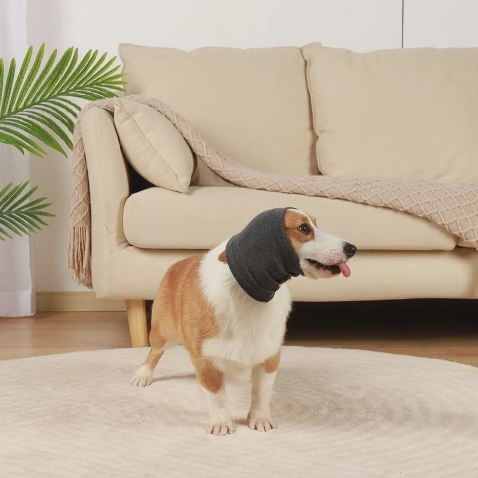Video for Comfortable Dog Earmuffs – Quiet Baths, Happy and Calm Pets